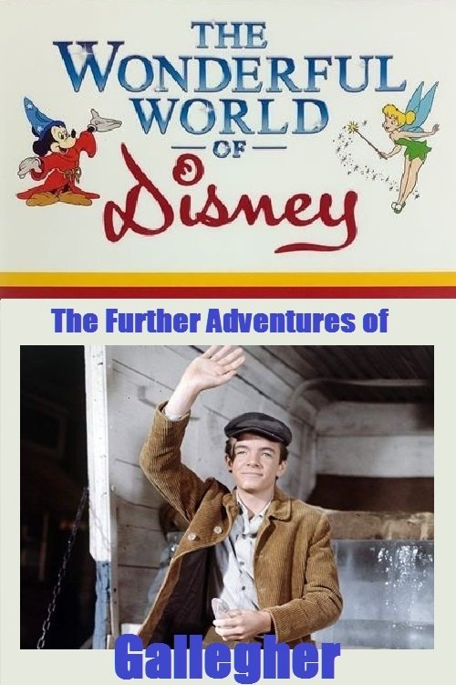 Постер The Further Adventures of Gallegher